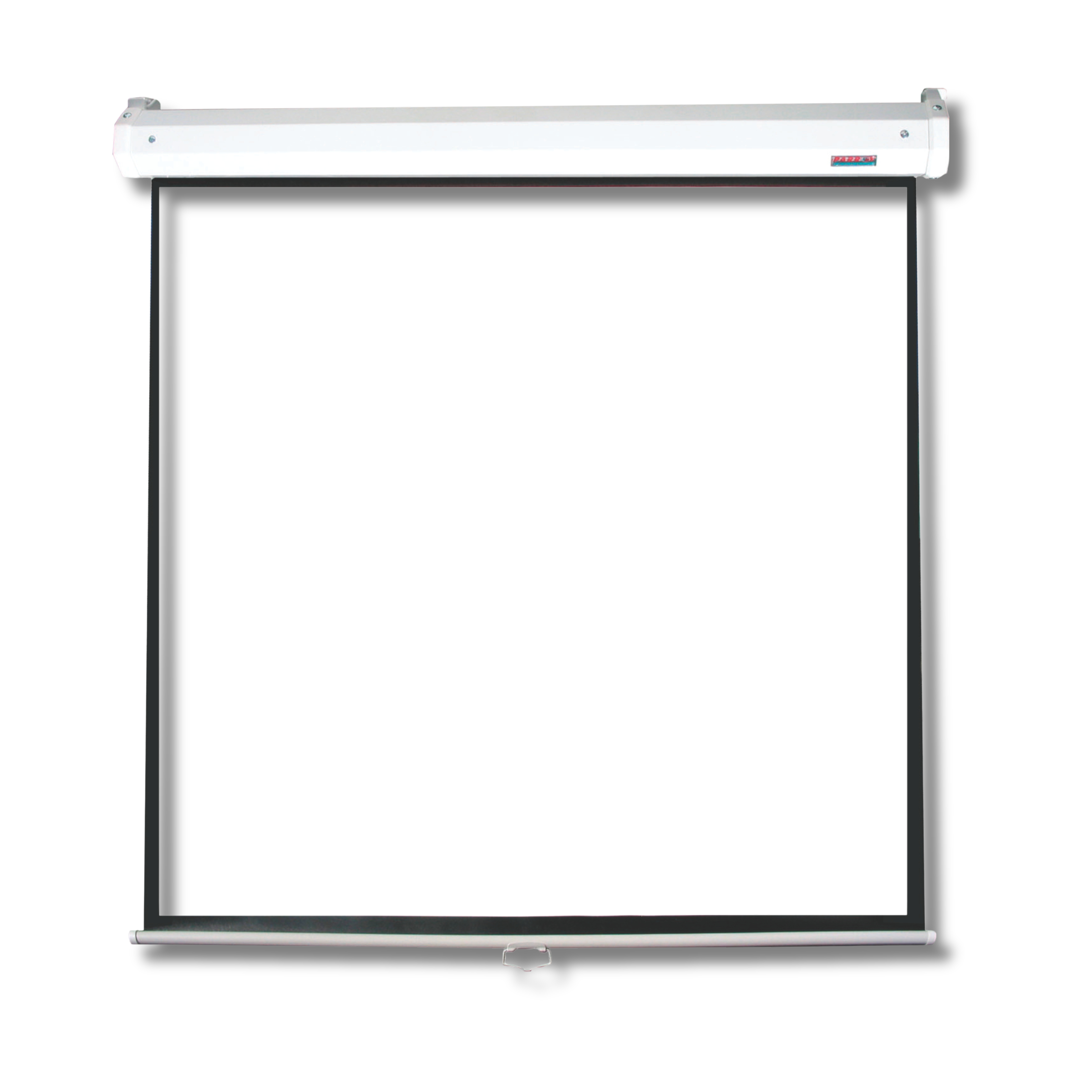Parrot Electric Screen 1830* 1830mm